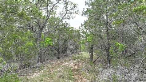 12033 Summer Meadows Spring Branch TX 78070