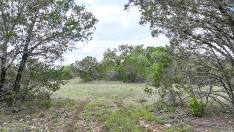 12033 Summer Meadows Spring Branch TX 78070