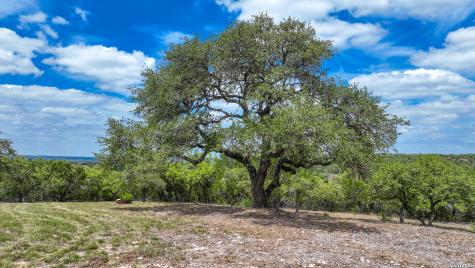 12033 Summer Meadows Spring Branch TX 78070