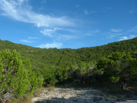 1300 S Goat Ridge Pipe Creek TX 78063