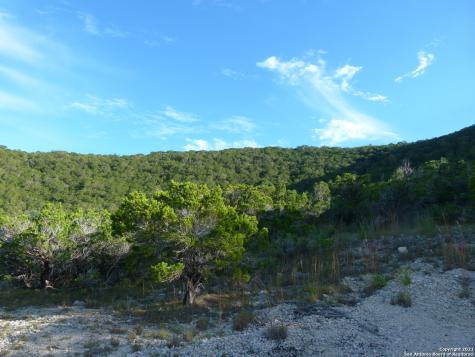 1300 S Goat Ridge Pipe Creek TX 78063