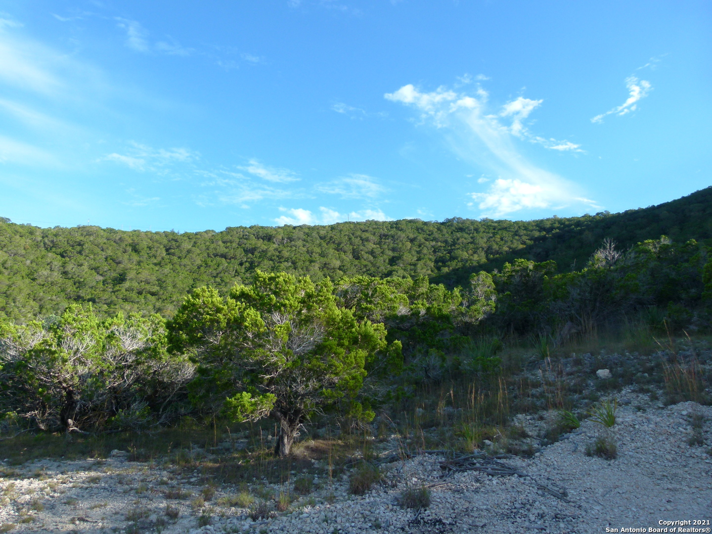 1300 S Goat Ridge Pipe Creek TX 78063