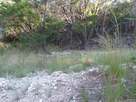1300 S Goat Ridge Pipe Creek TX 78063
