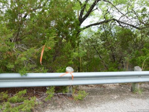 1300 S Goat Ridge Pipe Creek TX 78063
