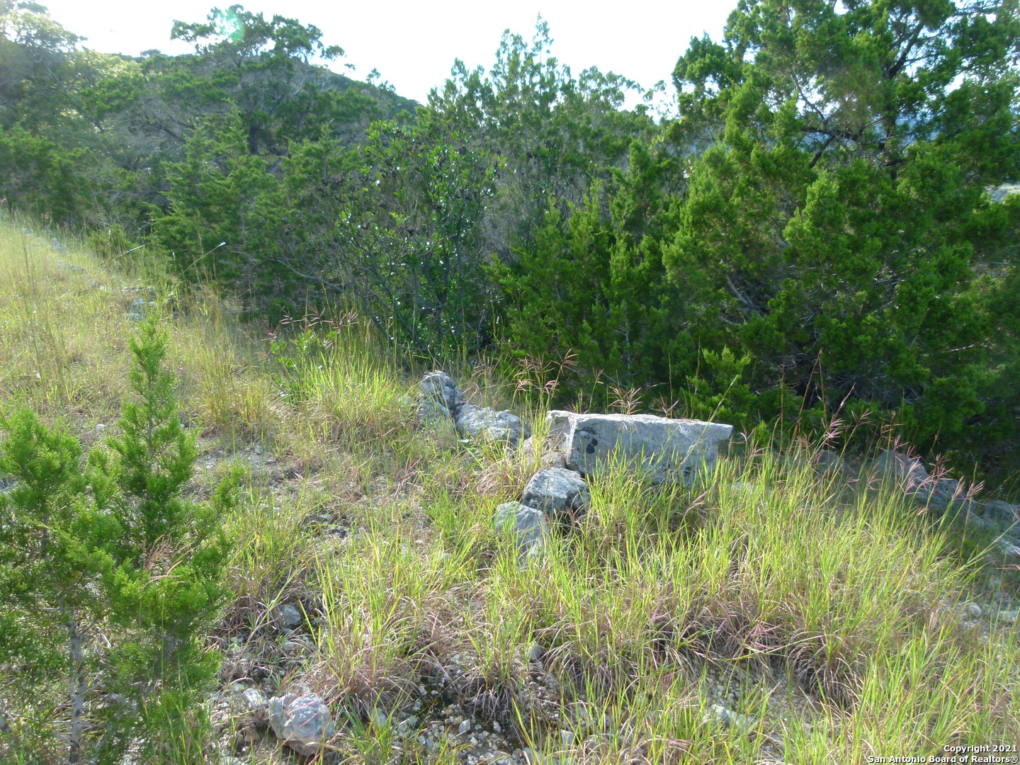 1300 S Goat Ridge Pipe Creek TX 78063