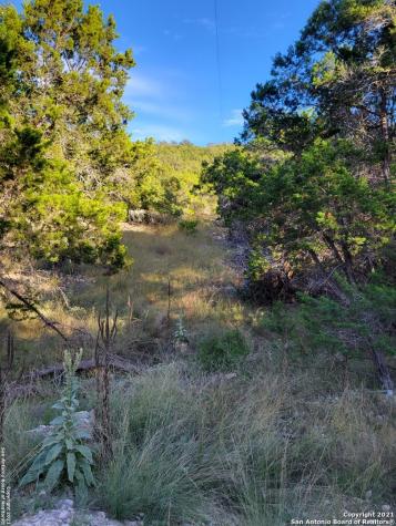 1300 S Goat Ridge Pipe Creek TX 78063