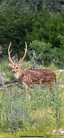 Tbd Fm 484 Canyon Lake TX 78133