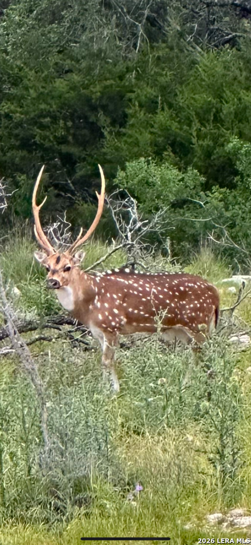 Tbd Fm 484 Canyon Lake TX 78133