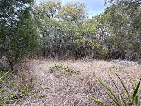 Tbd Fm 484 Canyon Lake TX 78133