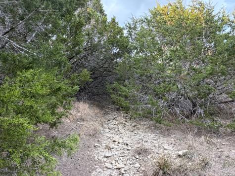 Tbd Fm 484 Canyon Lake TX 78133