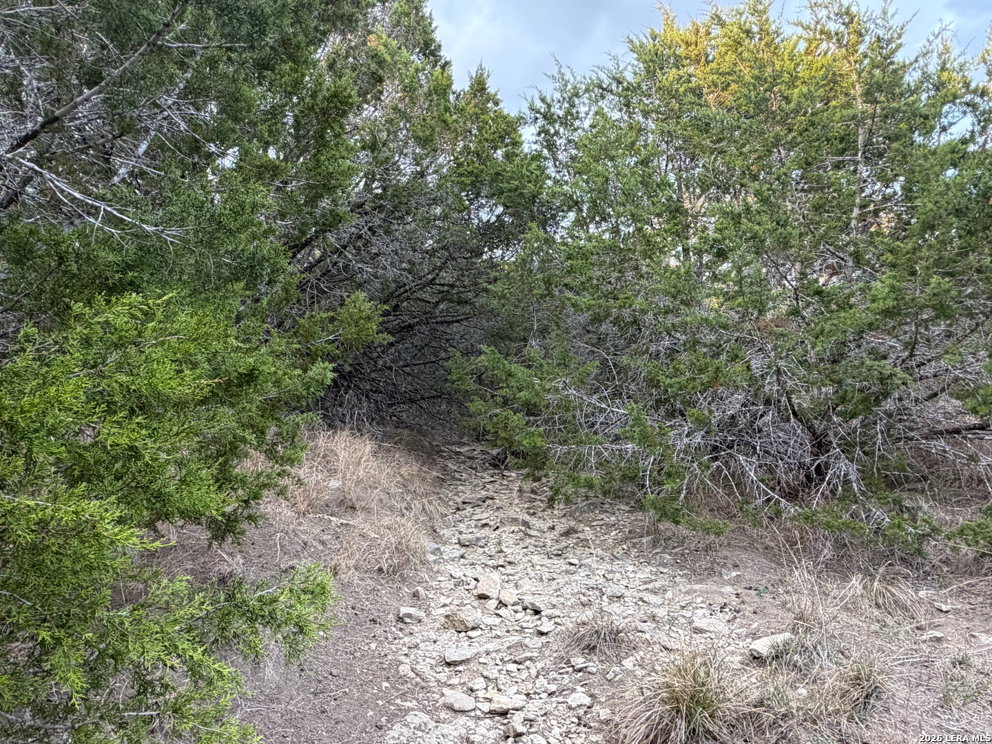Tbd Fm 484 Canyon Lake TX 78133