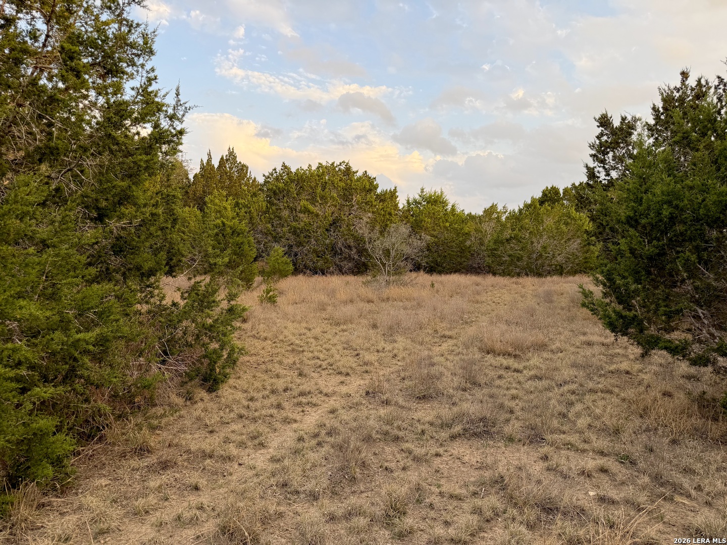 Tbd Fm 484 Canyon Lake TX 78133
