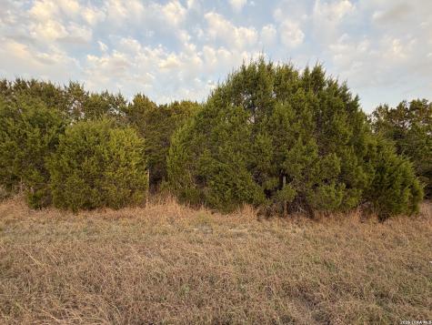 Tbd Fm 484 Canyon Lake TX 78133