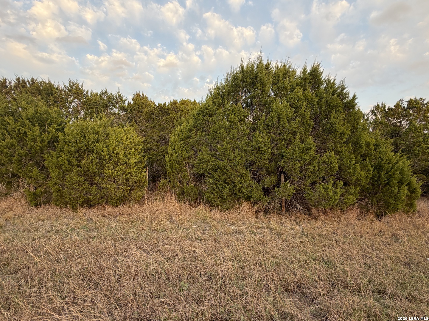 Tbd Fm 484 Canyon Lake TX 78133