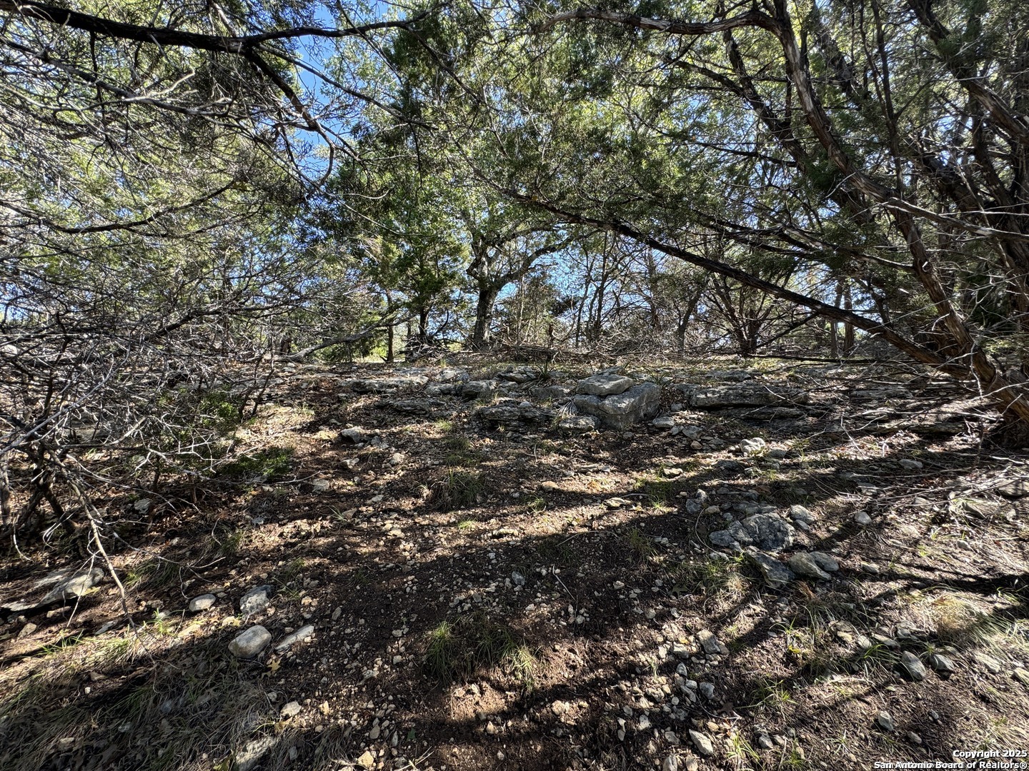 1040 Pinon Pass Fischer TX 78623