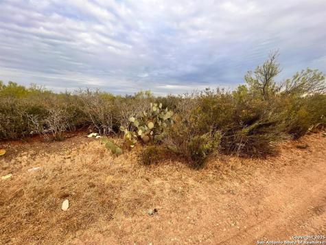 Tract 17 Las Pilas Road Laredo TX 78043