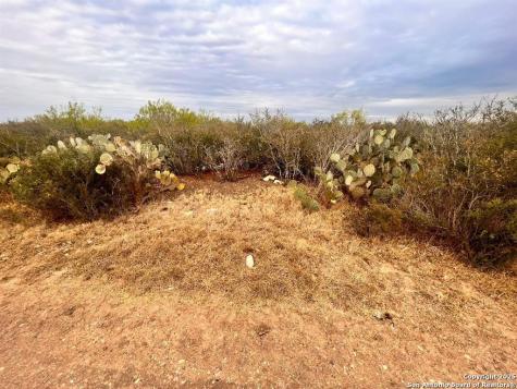 Tract 17 Las Pilas Road Laredo TX 78043