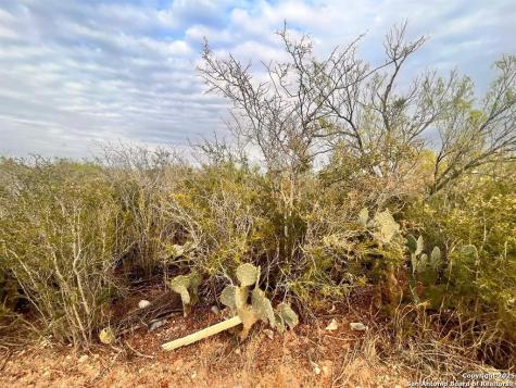 Tract 17 Las Pilas Road Laredo TX 78043