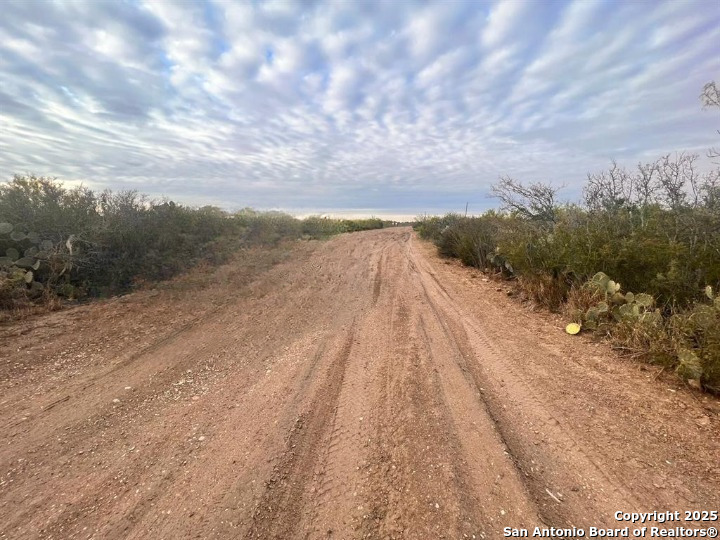 Tract 17 Las Pilas Road Laredo TX 78043