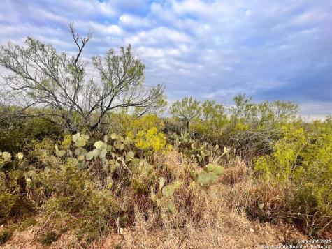 Tract 17 Las Pilas Road Laredo TX 78043