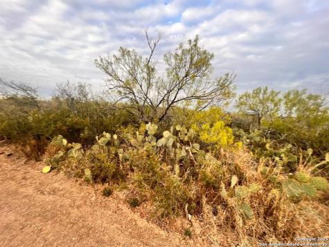 Tract 17 Las Pilas Road Laredo TX 78043