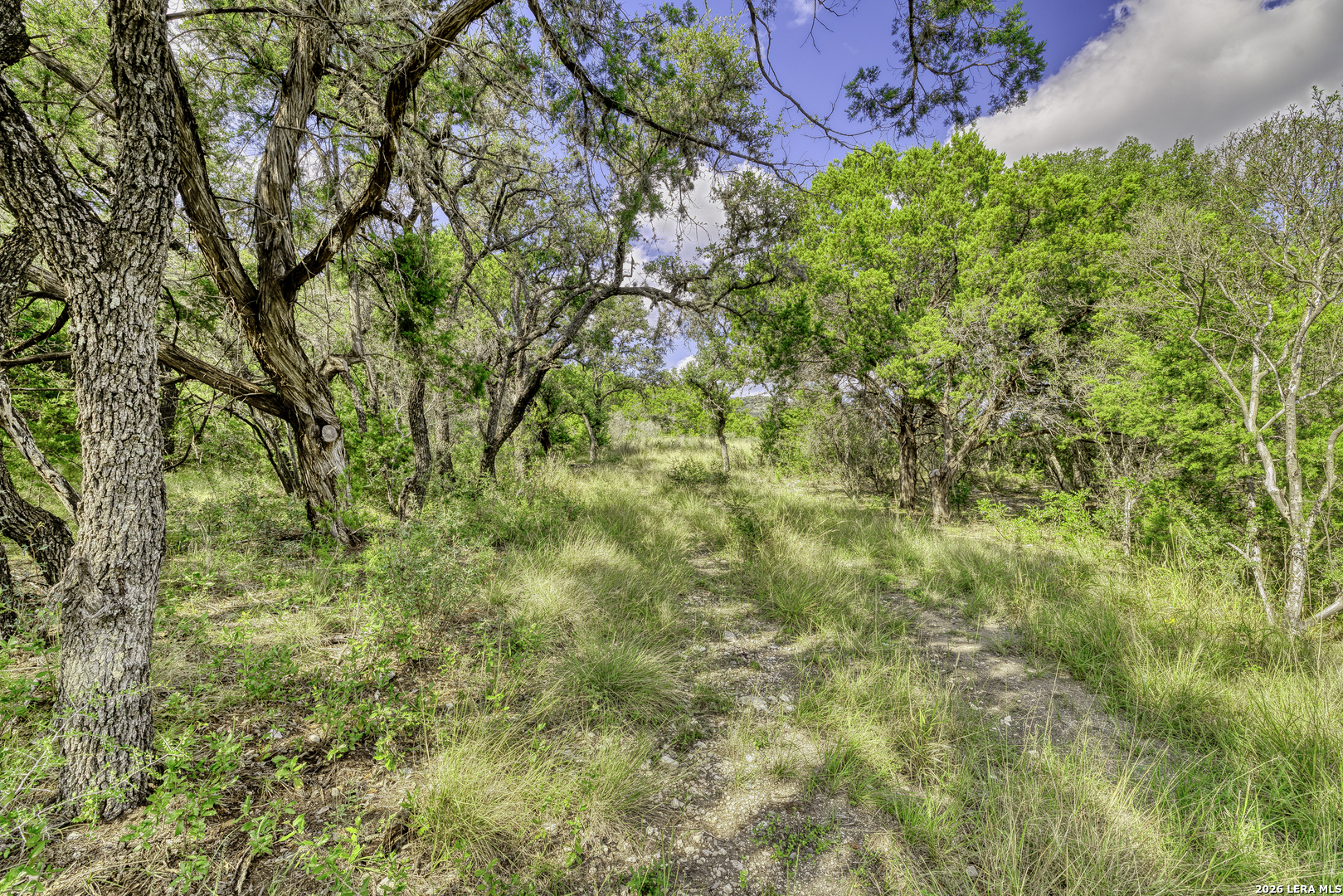 2455 N Highway 83 Leakey TX 78873