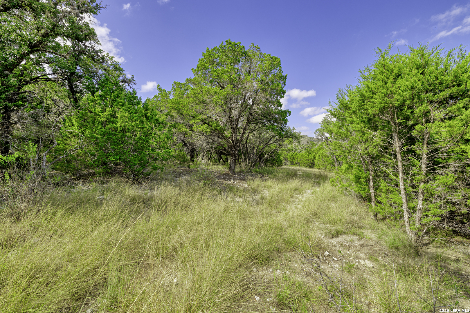 2455 N Highway 83 Leakey TX 78873
