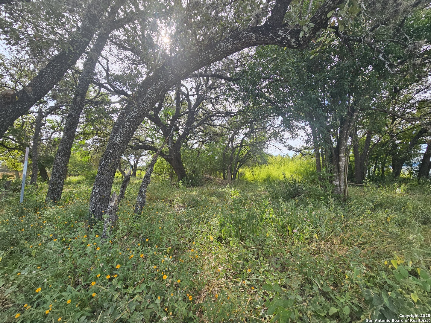5138 Wurzbach Road San Antonio TX 78238