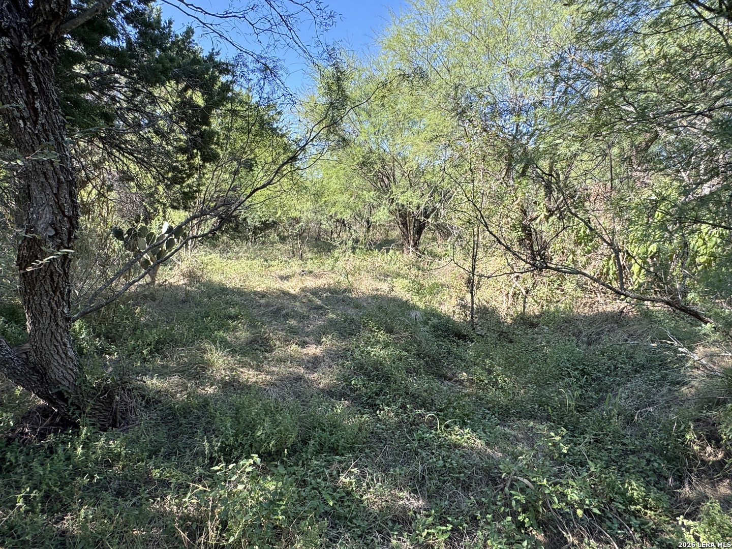 20530 Schneider Lane San Antonio TX 78266