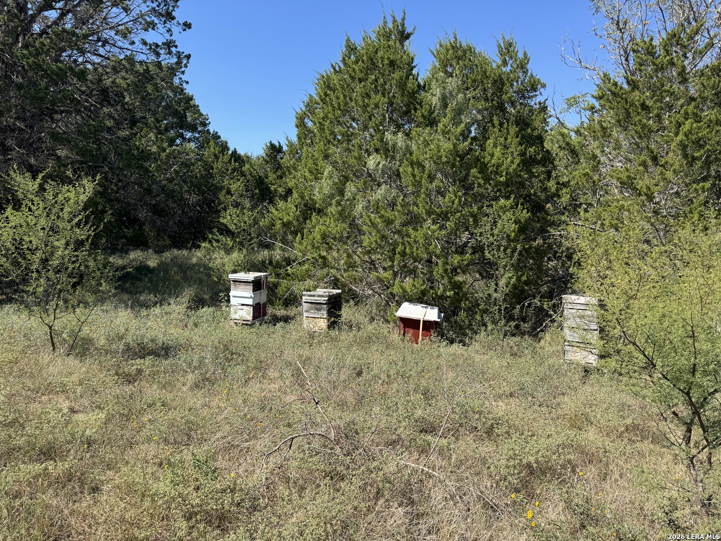 20530 Schneider Lane San Antonio TX 78266