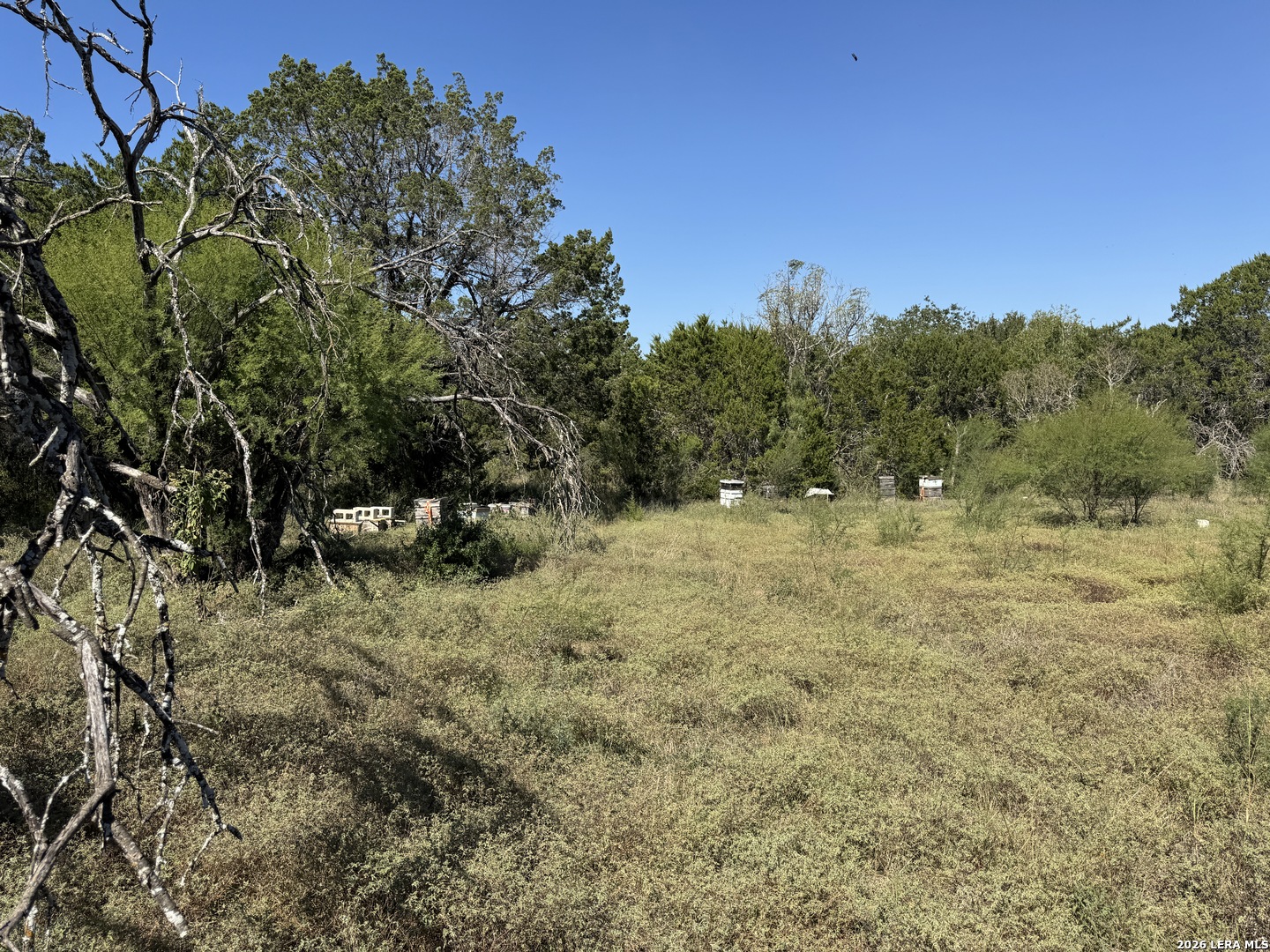 20530 Schneider Lane San Antonio TX 78266