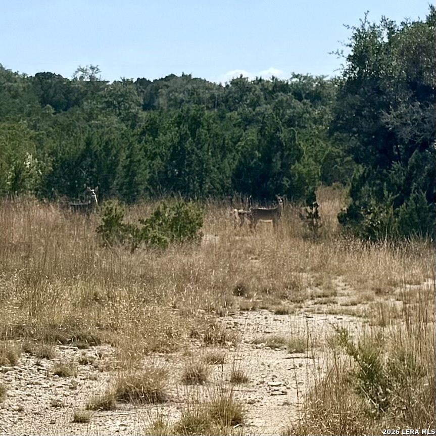 1982 Kimberly Pipe Creek TX 78063