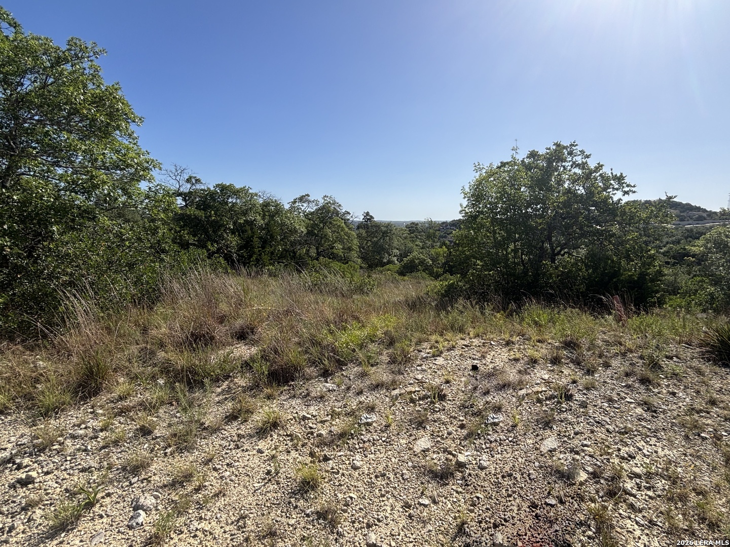 23535 Avila Ridge San Antonio TX 78255