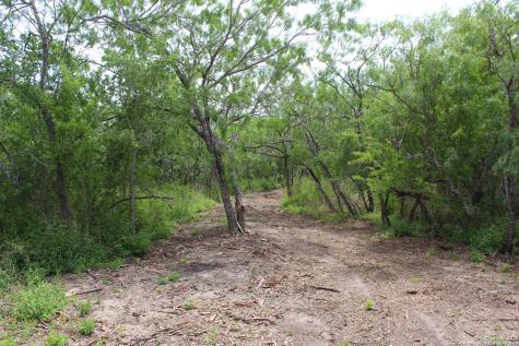 Tbd T10 Pierce Road Goliad TX 77963