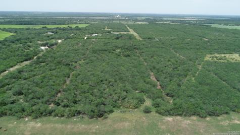 Tbd T10 Pierce Road Goliad TX 77963