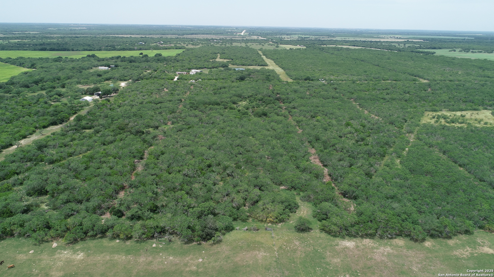 Tbd T10 Pierce Road Goliad TX 77963