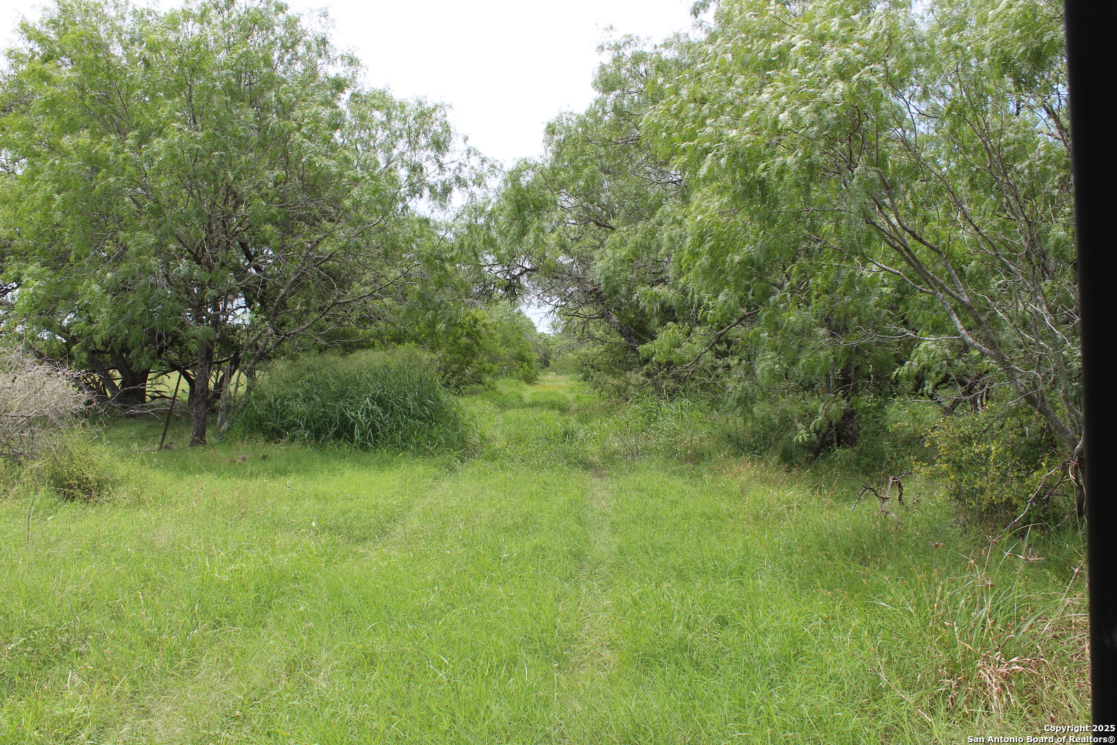 Tbd T10 Pierce Road Goliad TX 77963