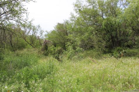 Tbd T10 Pierce Road Goliad TX 77963