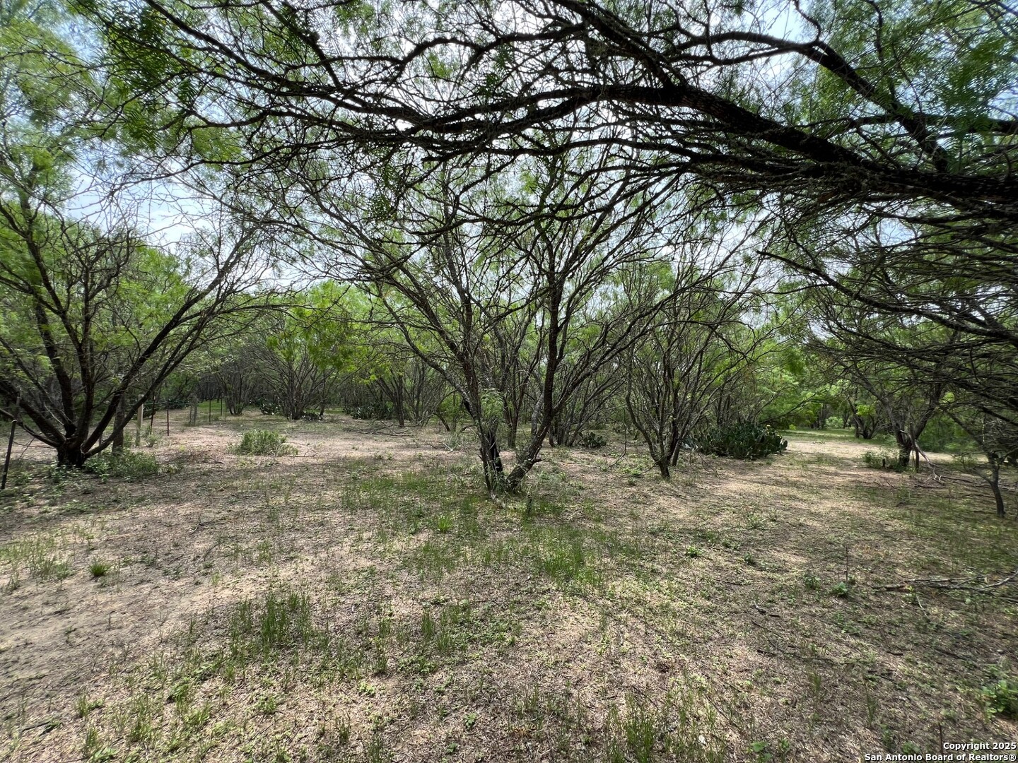 15828 Fm 775 Floresville TX 78114