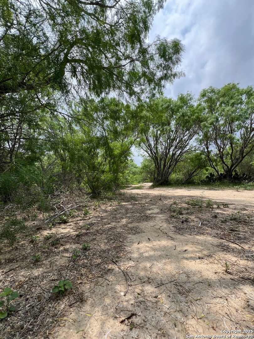 15828 Fm 775 Floresville TX 78114