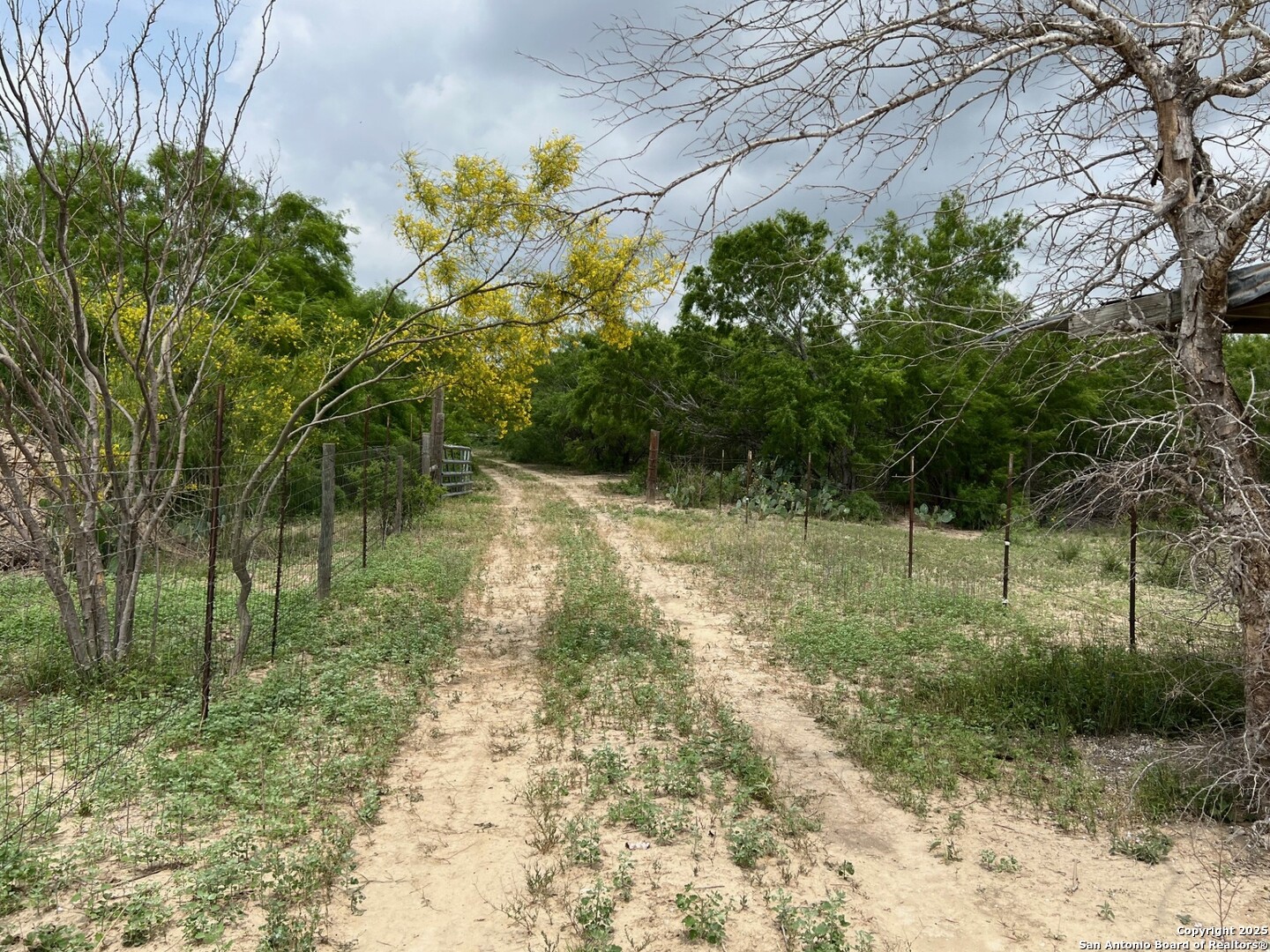 15828 Fm 775 Floresville TX 78114