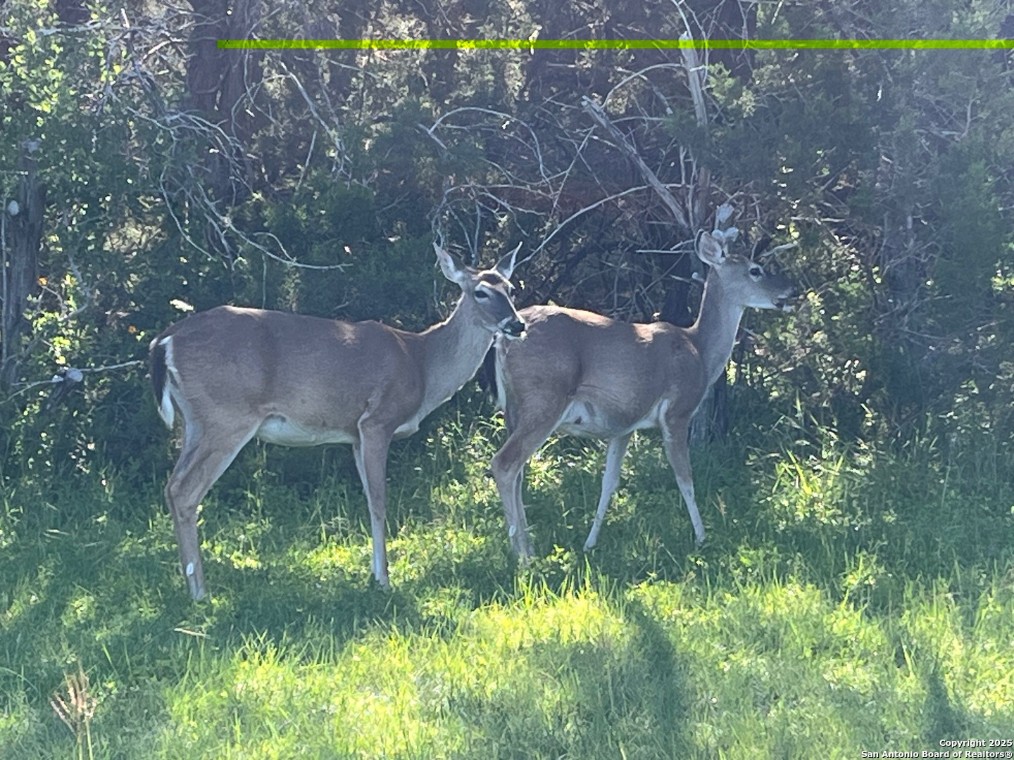 27246 & 27280 Kent Oaks San Antonio TX 78260