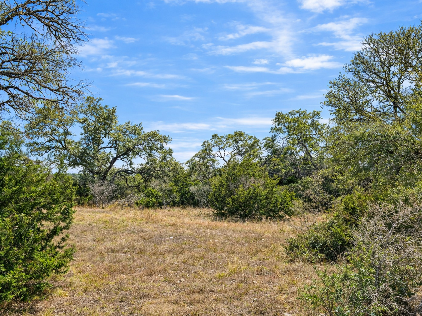 210 Coneflower Spring Branch TX 78070