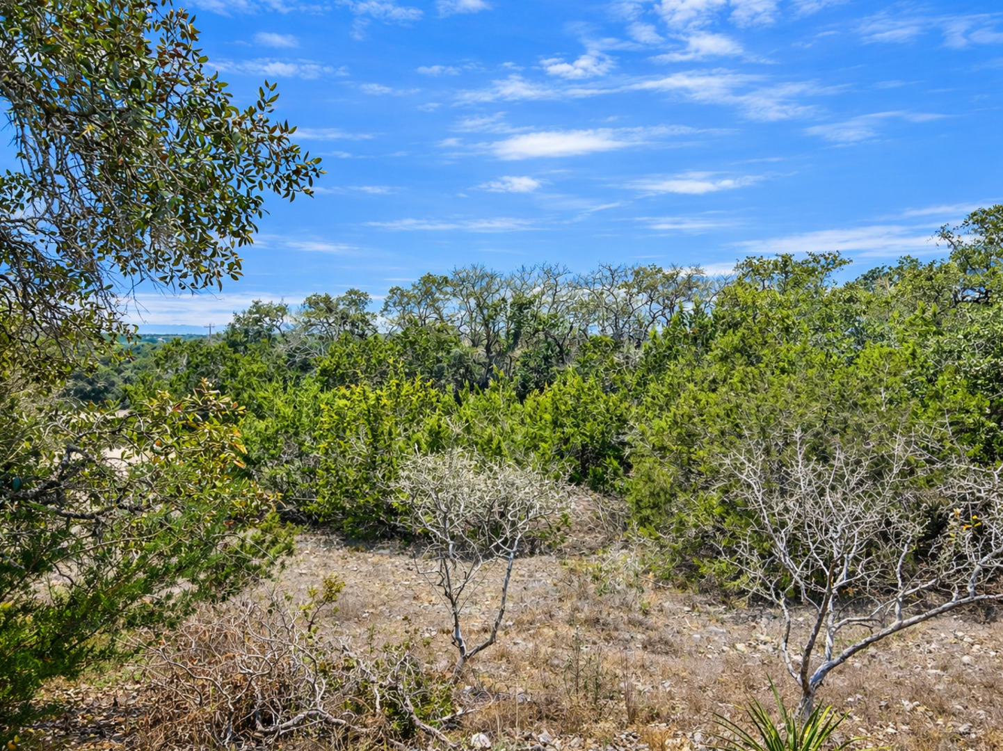 210 Coneflower Spring Branch TX 78070