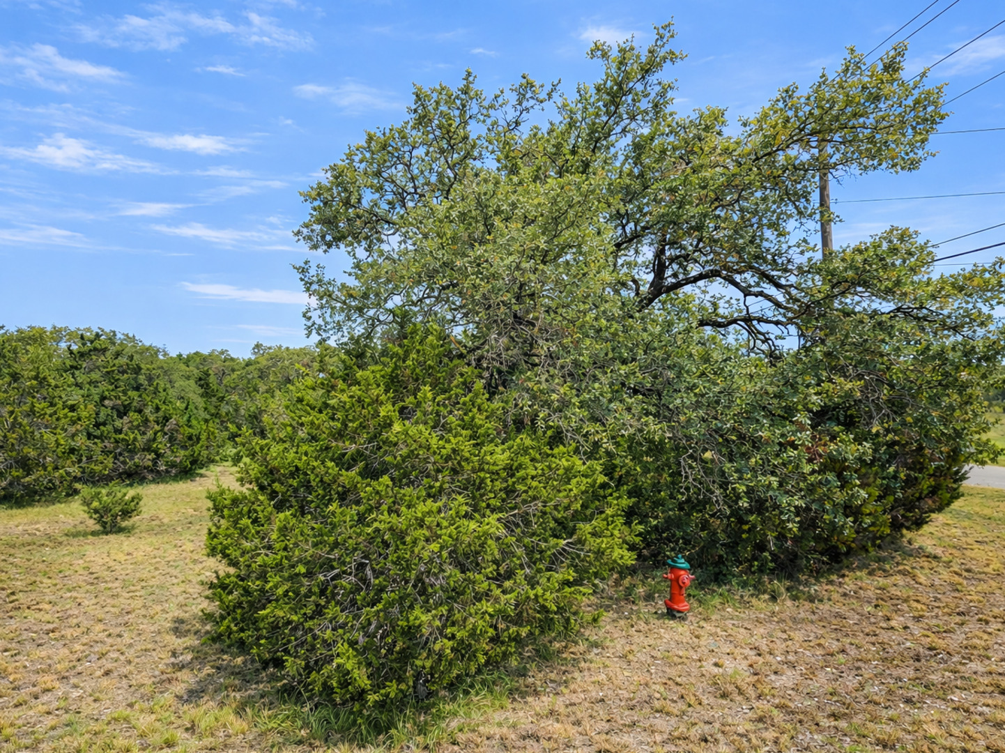 210 Coneflower Spring Branch TX 78070