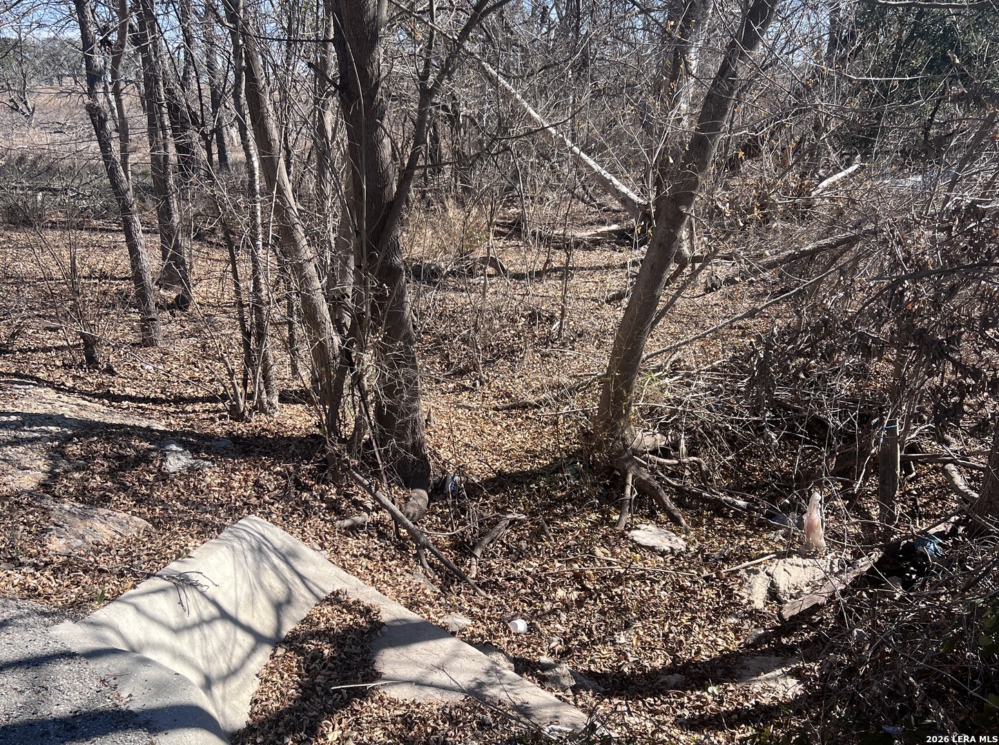 Tbd Ess Road Atascosa TX 78002