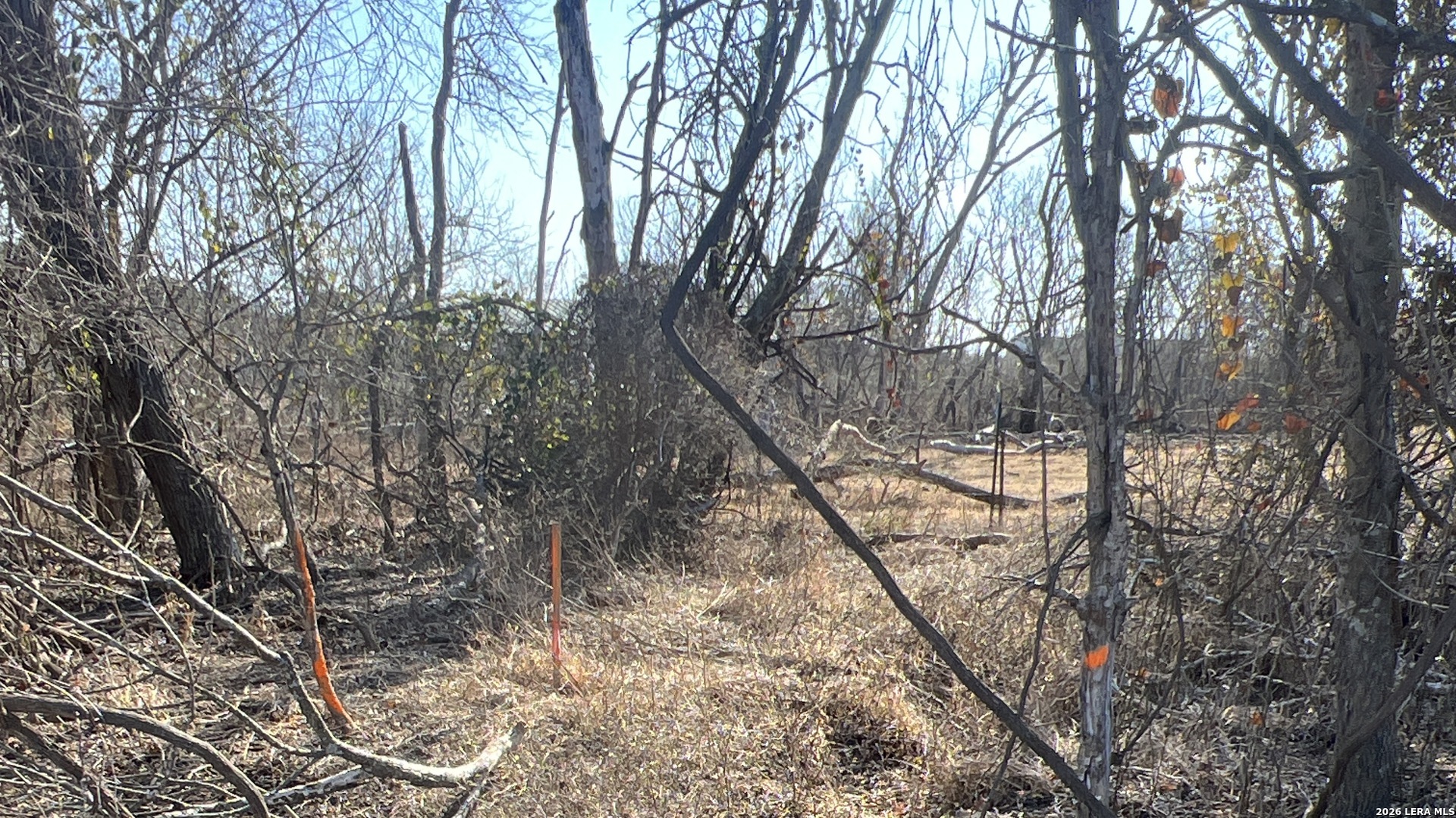 Tbd Ess Road Atascosa TX 78002