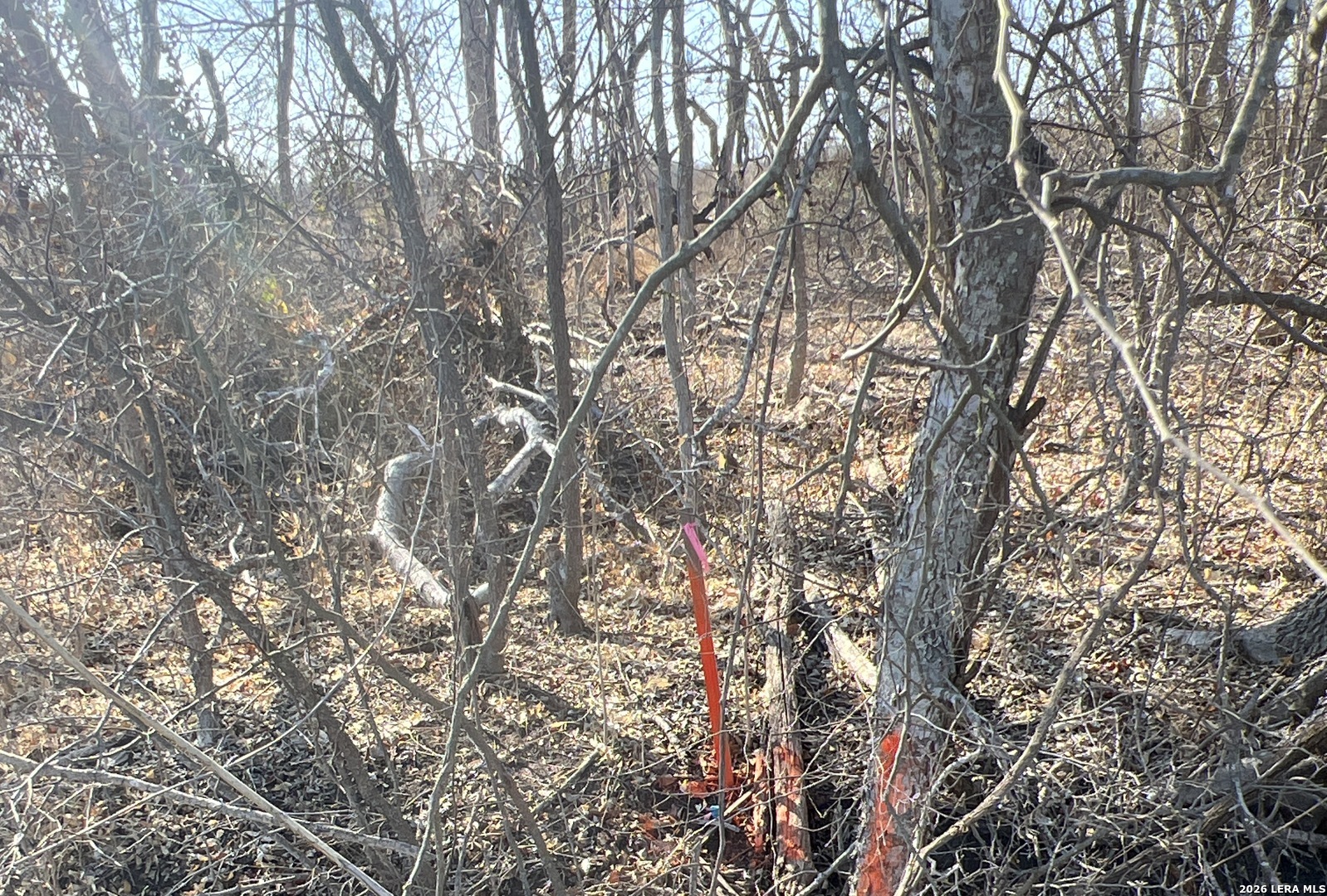 Tbd Ess Road Atascosa TX 78002