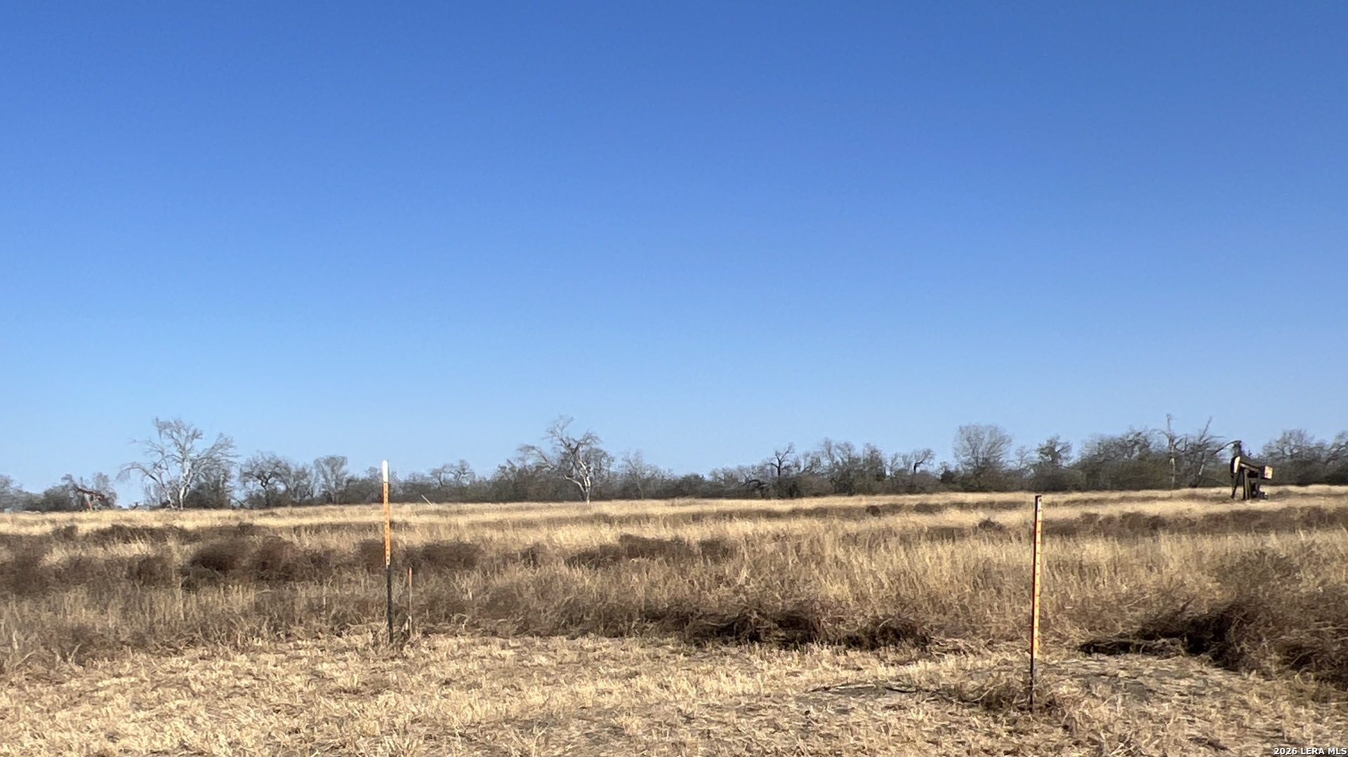 Tbd Ess Road Atascosa TX 78002