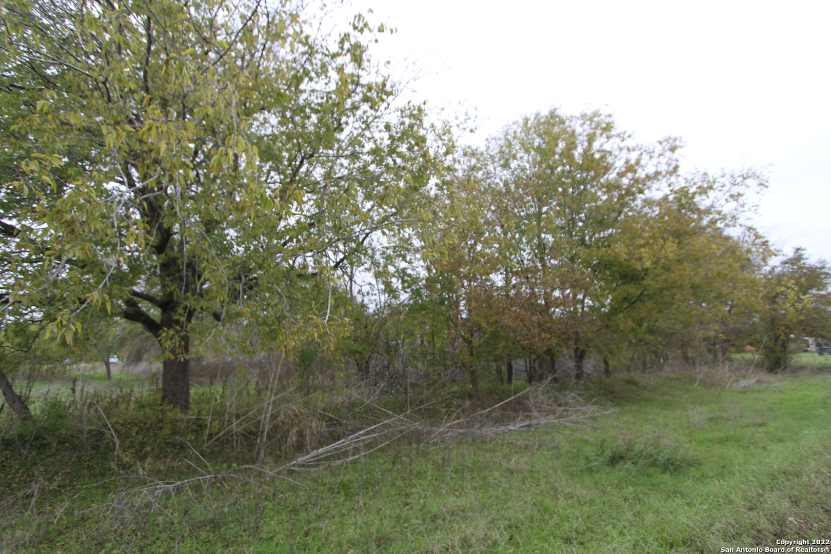 2462 Friesenhahn Road Seguin TX 78155